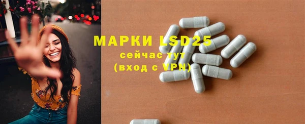 гидра Майский