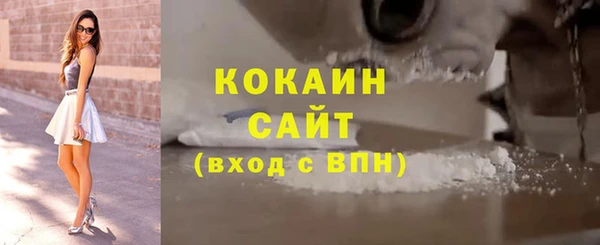 гидра Майский
