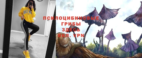 прущий лед Архангельск